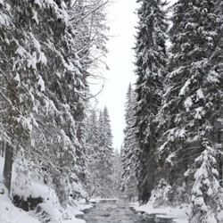 День в сердце Карелии: Рускеала и царство водопадов